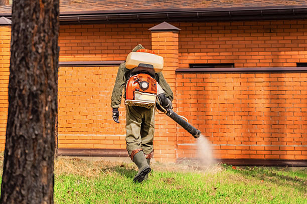 Trusted Mosquito Control service in Kelly Ridge, CA - Nex Pest Control